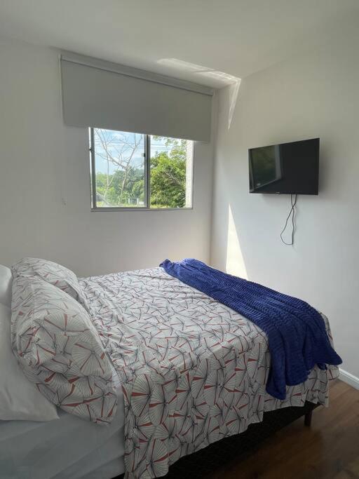 Apartment Ape Sonho Meu.